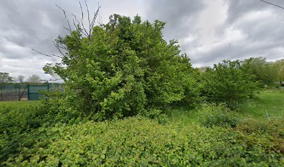 Cricketers Horndon Vets Football Club