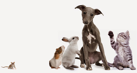 Cromwell Vets in Great Cambourne