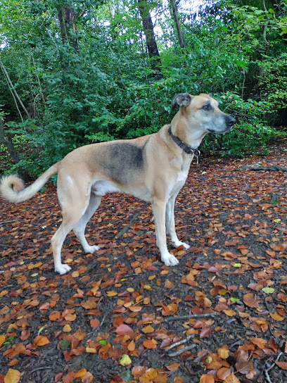 Cross Green Veterinary Centre