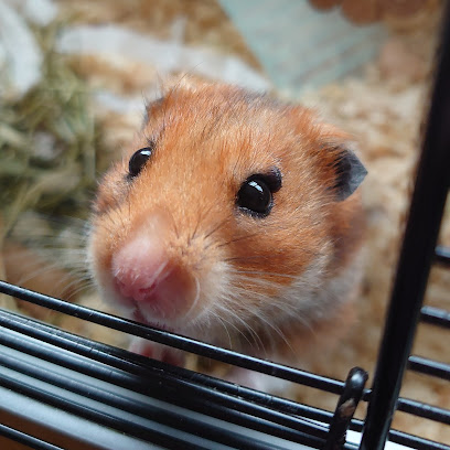 Crossways Veterinary Surgery