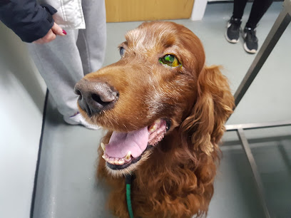 Crouch Vale Veterinary Practice