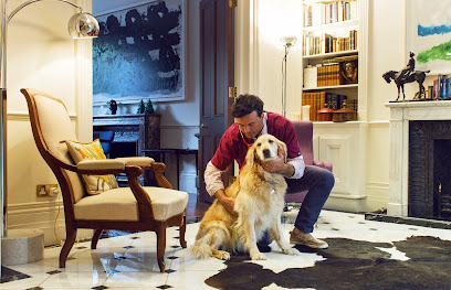 Ctvets Home Visit Vet