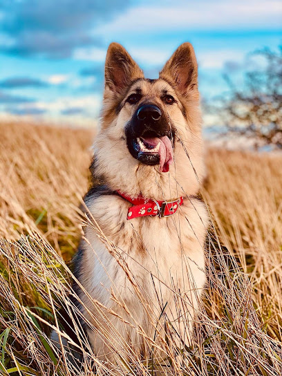 Dafne Veterinary Hospital