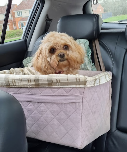 Darlington Vet Clinic Ltd