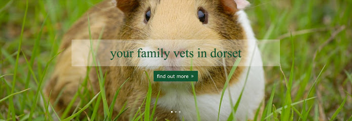 Dave Cumber Veterinary Surgeons