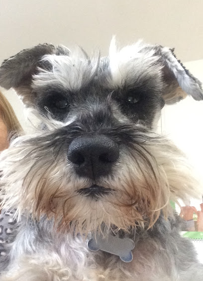 Daventry Veterinary Clinic