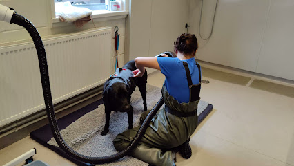 Davies Therapy and Fitness Centre