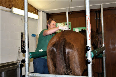 Deben Valley Equine Veterinary Clinic