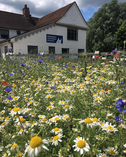 Debenham Veterinary Practice