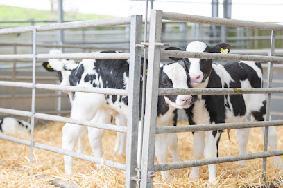 Delaware Veterinary Group