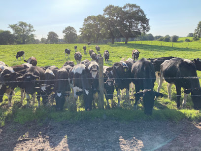 Derbyshire Farm Vets