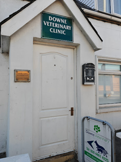 Downe Veterinary Clinic