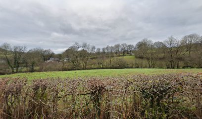 Downes Vets - Medicines Collection