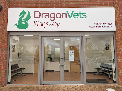 Dragon Vets