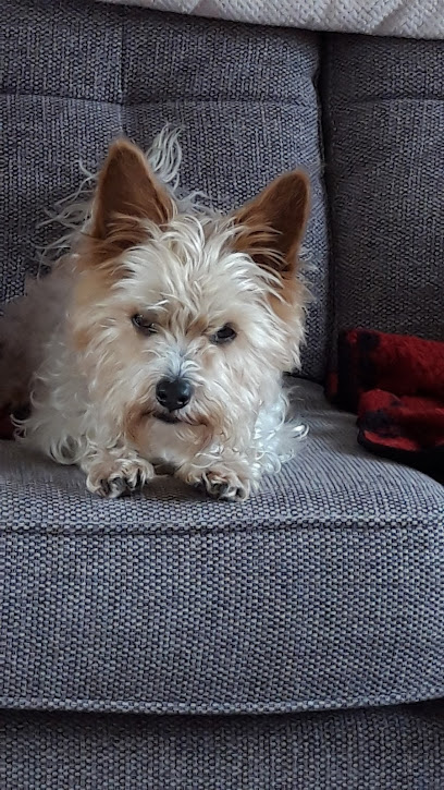 Drove Vets Ridgeway Farm