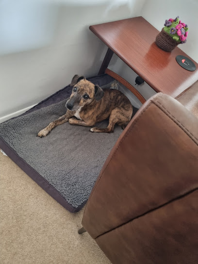 East Lincs Emergency Vets