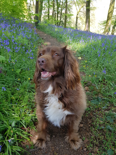 Elm Vets Plymstock Clinic