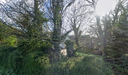 Equine Dental Clinic