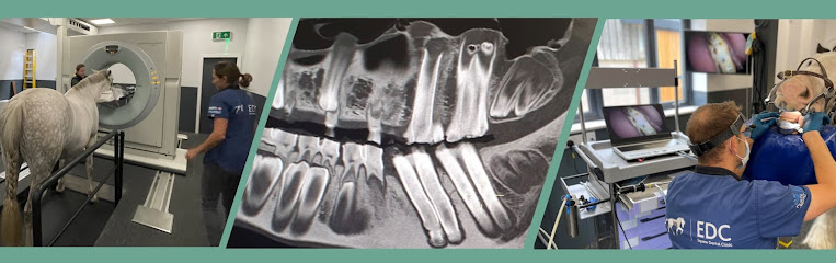 Equine Dental Clinic Ltd
