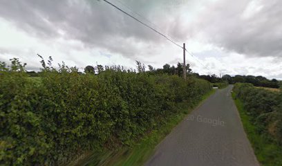 EQUINE DENTAL TECHICIAN /EDT /HORSE DENTIST