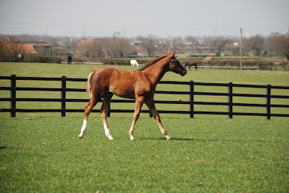 Equine Reproductive Services (UK) Ltd