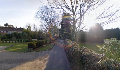 Equine Spinal Health