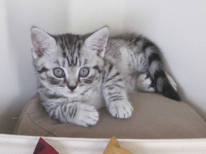 Exeter Veterinary Surgery