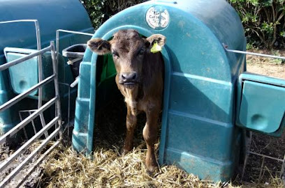 Farm First Veterinary Services