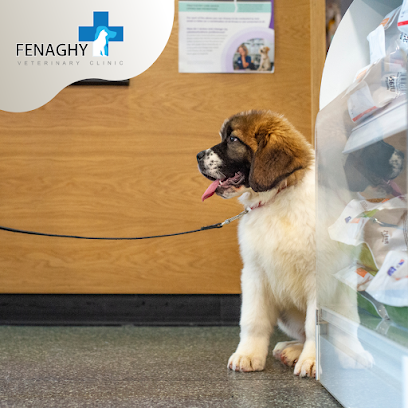 Fenaghy Veterinary Clinic