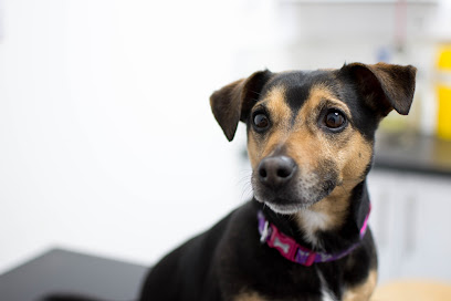 Fenwold Veterinary Practice