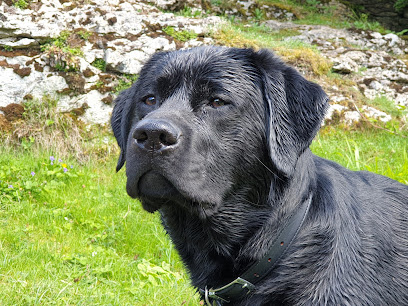 Filey Veterinary Practice