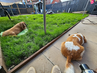 Firth Veterinary Centre