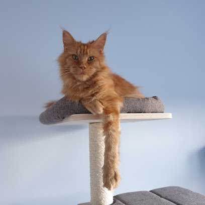 Fitzgeralds Catford Ltd