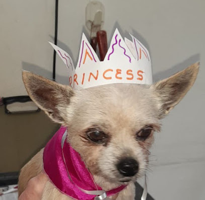 Fitzpatrick Veterinary Hospital