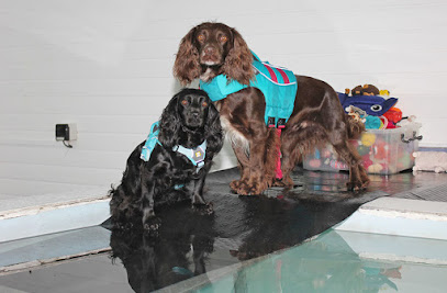 Five Valleys Canine Hydrotherapy