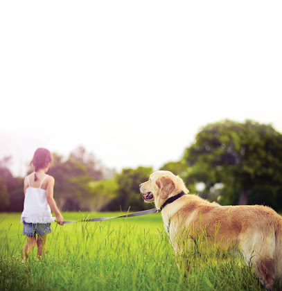 Forest House Veterinary Group