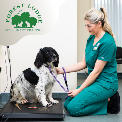 Forest Lodge Vet Practice