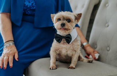 Forest Veterinary Centre, Harlow