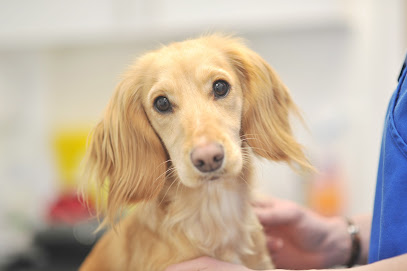 Forest Veterinary Group