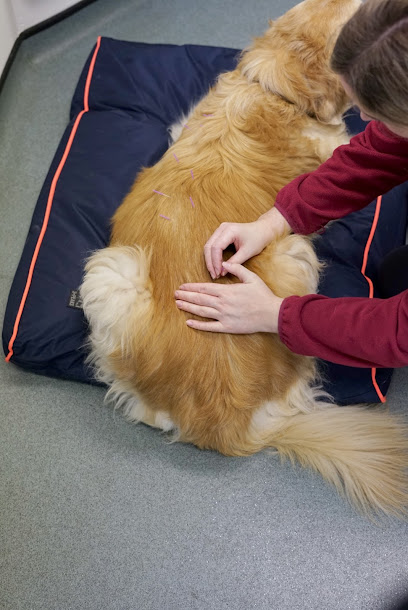 Forth View Veterinary Services