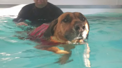 Fourpaws canine hydrotherapy