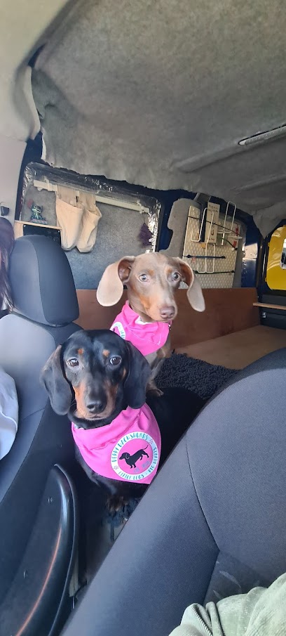 Foyleview Veterinary Clinic