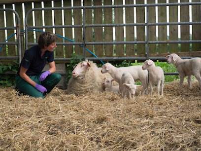 Friars Moor Livestock Health
