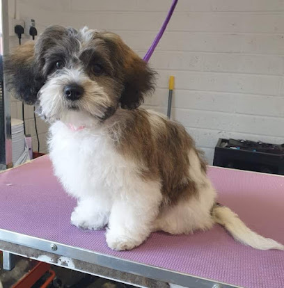 Garvagh Veterinary Clinic