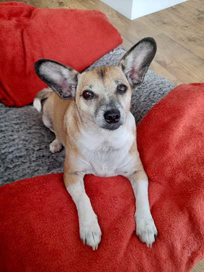 Gatehouse Veterinary Surgery