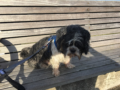 Gateshead PDSA Pet Hospital