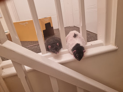 Gibson & Jones - Llanelli Vets