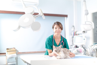 Glaven Veterinary Practice