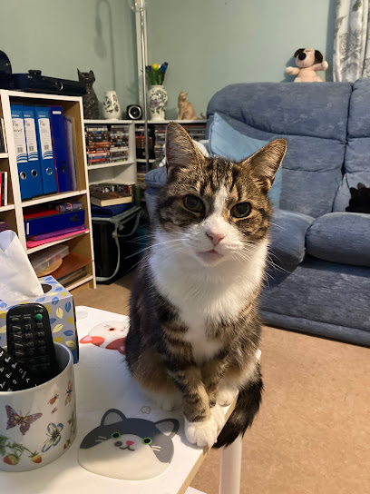 Goddard Veterinary Group, Collier Row