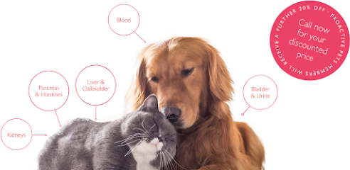 Goddard Veterinary Group, Kennington